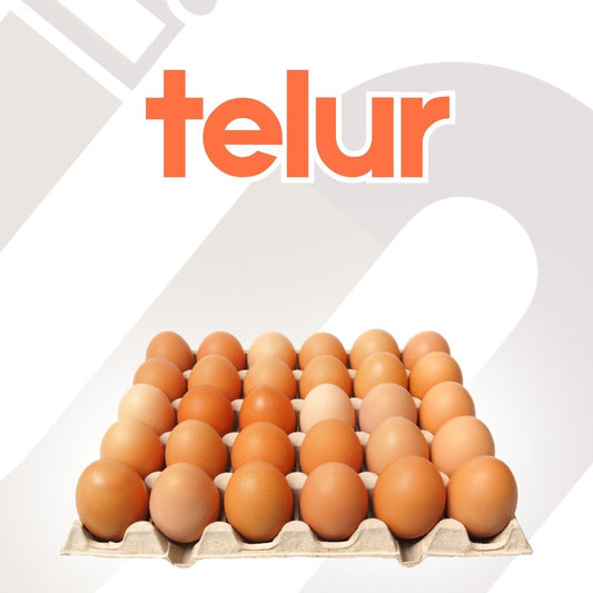 Telur
